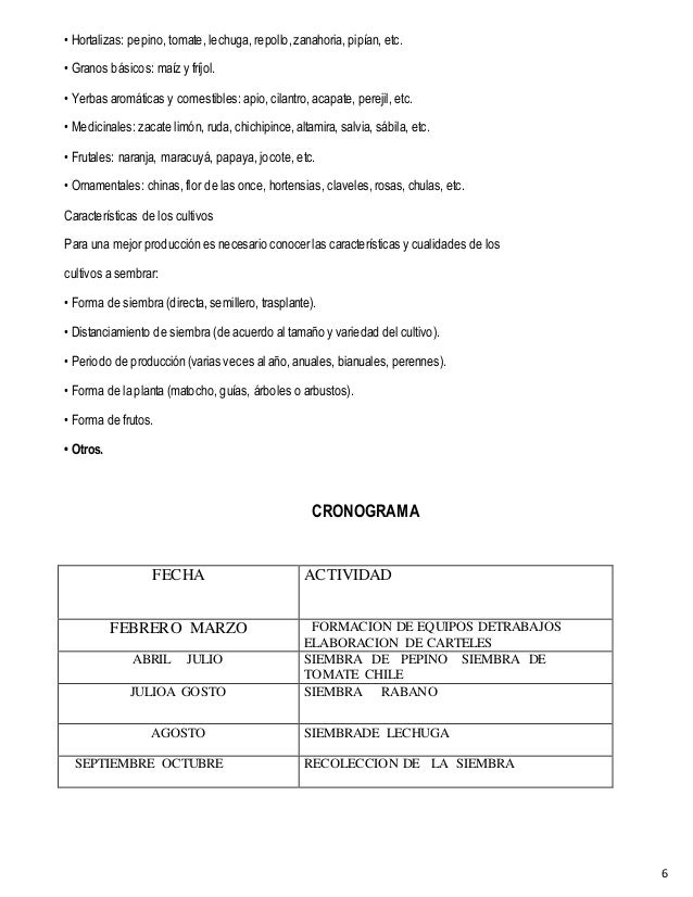 Proyecto de huerto escolar