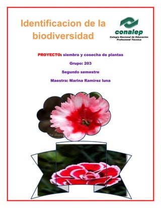 PROYECTO: siembra y cosecha de plantas
Grupo: 203
Segundo semestre
Maestra: Marina Ramírez luna
Identificacion de la
biodiversidad
 