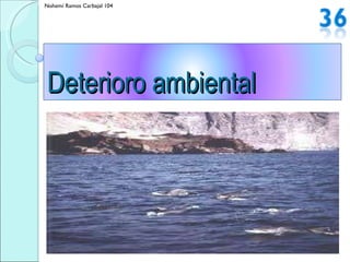 Nohemí Ramos Carbajal 104 Deterioro ambiental  