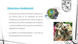 Deterioro Ambiental 
• El proceso de deterioro del Medio ambiente en 
los últimos años se ha acelerado de forma 
vertiginosa, se contaminan los suelos, el agua, la 
atmósfera, los cambios climáticos son evidentes 
y como resultado muchas especies de animales y 
vegetales se extinguen. 
• Se debilita la diversidad genética y con ella las 
potencialidades de la vida misma. 
 