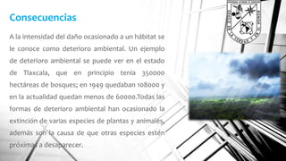 Consecuencias 
A la intensidad del daño ocasionado a un hábitat se 
le conoce como deterioro ambiental. Un ejemplo 
de deterioro ambiental se puede ver en el estado 
de Tlaxcala, que en principio tenía 350000 
hectáreas de bosques; en 1949 quedaban 108000 y 
en la actualidad quedan menos de 60000.Todas las 
formas de deterioro ambiental han ocasionado la 
extinción de varias especies de plantas y animales, 
además son la causa de que otras especies estén 
próximas a desaparecer. 
 