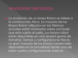  La anatomía de un brazo Robot se refiere a 
la construcción física. La mayoría de los 
Brazos Robot utilizados en las fábricas 
actuales están montados sobre una base 
que esta sujeta al suelo. Los brazos robot 
están disponibles en una amplia gama de 
tamaños, formas y configuraciones físicas. 
La gran mayoría de los brazos comerciales 
disponibles en la actualidad tienen una de 
estas cuatro configuraciones básicas 
 