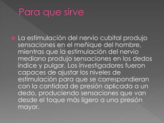  La estimulación del nervio cubital produjo 
sensaciones en el meñique del hombre, 
mientras que la estimulación del nervio 
mediano produjo sensaciones en los dedos 
índice y pulgar. Los investigadores fueron 
capaces de ajustar los niveles de 
estimulación para que se correspondieran 
con la cantidad de presión aplicada a un 
dedo, produciendo sensaciones que van 
desde el toque más ligero a una presión 
mayor. 
 