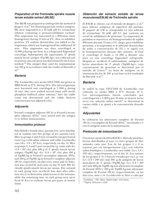 Preparation of the Trichinella spiralis muscle               Obtención del extracto soluble de larvas
larvae soluble extract (MLSE)                                musculares(ESLM) de Trichinella spiralis

The MLSE was prepared according with the method of           El ESLM se obtuvo con el método de Jungery et al.19
Jungery et al.19 for obtaining parasite surface antigens.    para obtener antígenos de superﬁcie del parásito.
ML were suspended in a 10 mM, pH 8.1 trizma-base             El paquete de LM se resuspendió en una solución
solution containing a protease-inhibition cocktail.*         de trizma-base 10 mM, pH 8.1 que contenía un
This suspension was macerated in a Wheaton tissue            coctel de inhibidores de proteasas.* La suspensión de
homogenizer during 15 min at 4°C, then, to solubilize        parásitos se maceró en un homogeneizador de tejidos
proteins, 2% sodium desoxicolate was added to the            Wheaton durante 15 min a 4°C, luego, para solubilizar
suspension, which was homogenized for additional 10          proteínas, a la suspensión se le adicionó desoxicolato
min. This suspension was then centrifuged at                 de sodio a concentración de 2% y se siguió con
14 000 g during one hour in a refrigerated Eppendorf         la homogeneización durante diez minutos. Al ﬁnal
centrifuge. Subsequently the supernatant –T. spiralis        se centrifugó el lisado a 14 000 g durante una
muscle larvae antigen (Tsp MLAg)– was collected and          hora en una centrífuga Eppendorf refrigerada.
its protein concentration was determined by the Lowry        Después se recolectó el sobrenadante –antígeno de
method. 20 The antigen dose used for immunization            larvas musculares de T. spiralis (TspMLAg)–, cuya
was 100 g in accordance with the results of Darwish et       concentración de proteínas se determinó por el
al.21                                                        método de Lowry. 20 La dosis de antígeno en la
                                                             inmunización fue de 100 g con base en los resultados
Bacteria                                                     de Darwish et al. 21

The Lactobacillus casei, strain ATCC7469, was grown in       Bacteria
MRS broth at 37°C during 18 h. The microorganisms
were harvested and centrifuged at 5 000 g during             Se utilizó la cepa ATCC7469 de Lactobacillus casei
10 min, they were washed several times with sterile          cultivada en medio MRS a 37°C durante 18 h.
phosphate buffered saline solution, 8 later the viable       Los microorganismos fueron cosechados por
count was determined and the viable bacteria                 centrifugación a 5 000 g por 10 min, se lavaron varias
concentration was adjusted (cfu).                            veces con solución salina estéril, 8 se determinó la
                                                             cuenta viable y se ajustó a la concentración deseada
Adjuvants                                                    (ufc).

Freund’s complete adjuvant (FCA) or Freund’s incom-          Adyuvantes
plete adjuvant (FIA),** were mixed with the antigen
(v/v) before immunization.                                   Se utilizaron los adyuvantes completo de Freund
                                                             (FCA) e incompleto de Freund (FIA),** mezclando v/v
Immunization protocol                                        con el antígeno antes de la inmunización.
Fifty BALB/c female mice, parasite free, were distribu-      Protocolo de inmunización
ted at random into ﬁve groups of ten animals each.
Mice in groups 1 and 2 were treated by intraperitoneal       Cincuenta ratones hembra BALB/c, libres de parásitos,
route (i.p.) with saline solution and viable Lactobacillus   fueron distribuidos al azar en cinco grupos de diez
casei (vLc, 1.8 × 10 9 fcu), respectively, on day 14. Mice   animales cada uno. Los de los grupos 1 y 2 se
in groups 3, 4 and 5 were treated by i.p. route with vLc     trataron por vía intraperitoneal (i.p.) con solución
(1.8 × 10 9 cfu) plus 100 g of T. spiralis muscle larvae     salina ﬁsiológica y Lactobacillus casei viable (Lcv, 1.8 ×
antigen (TspMLAg), vLc (1.8 × 10 9 cfu) plus 100 g           109 ufc), respectivamente, en el día 14. Los ratones
of TspMLAg in Freund’s incomplete adjuvant (FIA),            de los grupos 3, 4 y 5 fueron tratados por vía i. p. con
and 100 g of TspMLAg in Freund’s complete adjuvant           Lcv (1.8 × 109 ufc) más 100 g de antígeno de larvas
(FCA), respectively, on days zero, seven and 14. Infec-      musculares de T. spiralis (TspMLAg), Lcv (1.8 × 109
tion was carried by oral route on day 21 with 400 Tri-       ufc) más 100 g de TspMLAg más adyuvante incompleto
chinella spiralis muscle larvae per mouse. Five animals      de Freund (FIA) y 100 g de TspMLAg más adyuvante
in each group were sacriﬁced four days after infec-          completo de Freund (FCA), respectivamente, en los
tion (d.a.i) to determine adult worms in the intestine,      días cero, siete y 14. La infección se llevó a cabo por
while the remaining mice in each group were sacri-
ﬁced 31 d.a.i to evaluate larvae per gram of muscle          *Complete <TM> Mini, Boehringer, Germany.
                                                             **Sigma, Missouri, USA.
tissue.

362
 