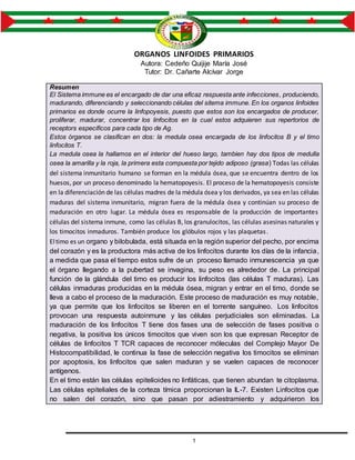 1
UNIVERSIDAD TÉCNICA
DE MANABÍ
ORGANOS LINFOIDES PRIMARIOS
Autora: Cedeño Quijije María José
Tutor: Dr. Cañarte Alcívar Jorge
Resumen
El Sistema immune es el encargado de dar una eficaz respuesta ante infecciones, produciendo,
madurando, diferenciando y seleccionando células del sitema immune. En los organos linfoides
primarios es donde ocurre la linfopoyesis, puesto que estos son los encargados de producer,
proliferar, madurar, concentrar los linfocitos en la cual estos adquieren sus repertorios de
receptors especificos para cada tipo de Ag.
Estos órganos se clasifican en dos: la medula osea encargada de los linfocitos B y el timo
linfocitos T.
La medula osea la hallamos en el interior del hueso largo, tambien hay dos tipos de medulla
osea la amarilla y la roja, la primera esta compuesta por tejido adiposo (grasa) Todas las células
del sistema inmunitario humano se forman en la médula ósea, que se encuentra dentro de los
huesos, por un proceso denominado la hematopoyesis. El proceso de la hematopoyesis consiste
en la diferenciación de las células madres de la médula ósea y los derivados, ya sea en las células
maduras del sistema inmunitario, migran fuera de la médula ósea y continúan su proceso de
maduración en otro lugar. La médula ósea es responsable de la producción de importantes
células del sistema inmune, como las células B, los granulocitos, las células asesinas naturales y
los timocitos inmaduros. También produce los glóbulos rojos y las plaquetas.
Eltimo es un organo y bilobulada, está situada en la región superior del pecho, por encima
del corazón y es la productora más activa de los linfocitos durante los días de la infancia,
a medida que pasa el tiempo estos sufre de un proceso llamado inmunescencia ya que
el órgano llegando a la pubertad se invagina, su peso es alrededor de. La principal
función de la glándula del timo es producir los linfocitos (las células T maduras). Las
células inmaduras producidas en la médula ósea, migran y entrar en el timo, donde se
lleva a cabo el proceso de la maduración. Este proceso de maduración es muy notable,
ya que permite que los linfocitos se liberen en el torrente sanguíneo. Los linfocitos
provocan una respuesta autoinmune y las células perjudiciales son eliminadas. La
maduración de los linfocitos T tiene dos fases una de selección de fases positiva o
negativa, la positiva los únicos timocitos que viven son los que expresan Receptor de
células de linfocitos T TCR capaces de reconocer móleculas del Complejo Mayor De
Histocompatibilidad, le continua la fase de selección negativa los timocitos se eliminan
por apoptosis, los linfocitos que salen maduran y se vuelen capaces de reconocer
antígenos.
En el timo están las células epitelioides no linfáticas, que tienen abundan te citoplasma.
Las células epiteliales de la corteza tímica proporcionan la IL-7. Existen Linfocitos que
no salen del corazón, sino que pasan por adiestramiento y adquirieron los
 