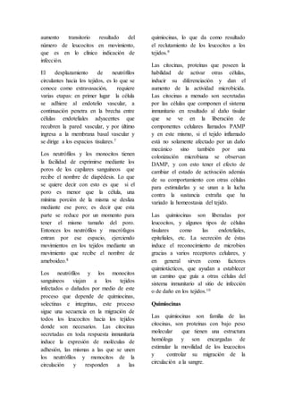 aumento transitorio resultado del
número de leucocitos en movimiento,
que es en lo clínico indicación de
infección.
El desplazamiento de neutrófilos
circulantes hacia los tejidos, es lo que se
conoce como extravasación, requiere
varias etapas: en primer lugar la célula
se adhiere al endotelio vascular, a
continuación penetra en la brecha entre
células endoteliales adyacentes que
recubren la pared vascular, y por último
ingresa a la membrana basal vascular y
se dirige a los espacios tisulares.7
Los neutrófilos y los monocitos tienen
la facilidad de exprimirse mediante los
poros de los capilares sanguíneos que
recibe el nombre de diapédesis. Lo que
se quiere decir con esto es que si el
poro es menor que la célula, una
mínima porción de la misma se desliza
mediante ese poro; es decir que esta
parte se reduce por un momento para
tener el mismo tamaño del poro.
Entonces los neutrófilos y macrófagos
entran por ese espacio, ejerciendo
movimientos en los tejidos mediante un
movimiento que recibe el nombre de
ameboideo.8
Los neutrófilos y los monocitos
sanguíneos viajan a los tejidos
infectados o dañados por medio de este
proceso que depende de quimiocinas,
selectinas e integrinas, este proceso
sigue una secuencia en la migración de
todos los leucocitos hacia los tejidos
donde son necesarios. Las citocinas
secretadas en toda respuesta inmunitaria
induce la expresión de moléculas de
adhesión, las mismas a las que se unen
los neutrófilos y monocitos de la
circulación y responden a las
quimiocinas, lo que da como resultado
el reclutamiento de los leucocitos a los
tejidos.9
Las citocinas, proteínas que poseen la
habilidad de activar otras células,
inducir su diferenciación y dan el
aumento de la actividad microbicida.
Las citocinas a menudo son secretadas
por las células que componen el sistema
inmunitario en resultado al daño tisular
que se ve en la liberación de
componentes celulares llamados PAMP
y en este mismo, si el tejido inflamado
está no solamente afectado por un daño
mecánico sino también por una
colonización microbiana se observan
DAMP, y con esto tener el efecto de
cambiar el estado de activación además
de su comportamiento con otras células
para estimularlas y se unan a la lucha
contra la sustancia extraña que ha
variado la homeostasia del tejido.
Las quimiocinas son liberadas por
leucocitos, y algunos tipos de células
tisulares como las endoteliales,
epiteliales, etc. La secreción de éstas
induce el reconocimiento de microbios
gracias a varios receptores celulares, y
en general sirven como factores
quimiotácticos, que ayudan a establecer
un camino que guía a otras células del
sistema inmunitario al sitio de infección
o de daño en los tejidos.10
Quimiocinas
Las quimiocinas son familia de las
citocinas, son proteínas con bajo peso
molecular que tienen una estructura
homóloga y son encargadas de
estimular la movilidad de los leucocitos
y controlar su migración de la
circulación a la sangre.
 
