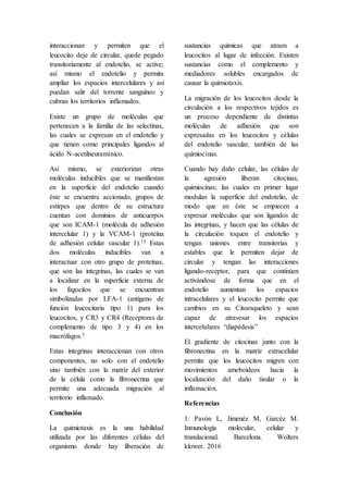interaccionan y permiten que el
leucocito deje de circular, quede pegado
transitoriamente al endotelio, se active;
así mismo el endotelio y permita
ampliar los espacios intercelulares y así
puedan salir del torrente sanguíneo y
cubran los territorios inflamados.
Existe un grupo de moléculas que
pertenecen a la familia de las selectinas,
las cuales se expresan en el endotelio y
que tienen como principales ligandos al
ácido N-acetilneuramínico.
Así mismo, se exteriorizan otras
moléculas inducibles que se manifiestan
en la superficie del endotelio cuando
éste se encuentra accionado, grupos de
estirpes que dentro de su estructura
cuentan con dominios de anticuerpos
que son ICAM-1 (molécula de adhesión
intercelular 1) y la VCAM-1 (proteína
de adhesión celular vascular 1).15 Estas
dos moléculas inducibles van a
interactuar con otro grupo de proteínas,
que son las integrinas, las cuales se van
a localizar en la superficie externa de
los fagocitos que se encuentran
simbolizadas por LFA-1 (antígeno de
función leucocitaria tipo 1) para los
leucocitos, y CR3 y CR4 (Receptores de
complemento de tipo 3 y 4) en los
macrófagos.5
Estas integrinas interaccionan con otros
componentes, no solo con el endotelio
sino también con la matriz del exterior
de la célula como la fibronectina que
permite una adecuada migración al
territorio inflamado.
Conclusión
La quimiotaxis es la una habilidad
utilizada por las diferentes células del
organismo donde hay liberación de
sustancias químicas que atraen a
leucocitos al lugar de infección. Existen
sustancias como el complemento y
mediadores solubles encargados de
causar la quimiotaxis.
La migración de los leucocitos desde la
circulación a los respectivos tejidos es
un proceso dependiente de distintas
moléculas de adhesión que son
expresadas en los leucocitos y células
del endotelio vascular, también de las
quimiocinas.
Cuando hay daño celular, las células de
la agresión liberan citocinas,
quimiocinas; las cuales en primer lugar
modulan la superficie del endotelio, de
modo que en éste se empiecen a
expresar moléculas que son ligandos de
las integrinas, y hacen que las células de
la circulación toquen el endotelio y
tengan uniones entre transitorias y
estables que le permiten dejar de
circular y tengan las interacciones
ligando-receptor, para que continúen
activándose de forma que en el
endotelio aumentan los espacios
intracelulares y el leucocito permite que
cambios en su Citoesqueleto y sean
capaz de atravesar los espacios
intercelulares “diapédesis”
El gradiente de citocinas junto con la
fibronectina en la matriz extracelular
permite que los leucocitos migren con
movimientos ameboideos hacia la
localización del daño tisular o la
inflamación.
Referencias
1: Pavón L, Jimenéz M, Garcéz M.
Inmunología molecular, celular y
translacional. Barcelona. Wolters
klower. 2016
 