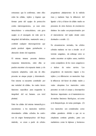 estructuras que lo conforman, entre ellas
están las células, tejidos y órganos que
forman parte del equipo de protección
contra microorganismos, ya sean estos
intracelulares o extracelulares, este gran
equipo es el encargado de velar por la
integridad del individuo, mantenerlo sano, y
combatir cualquier microorganismo que
pueda producir alguna perturbación o
alteración dentro del organismo.
El sistema inmune presenta distintas
respuestas inmunitarias, entre ellas se
pueden encontrar a la respuesta innata y a la
respuesta adaptativa, cada una de ellas
presenta un ataque propio y determinado.
Este sistema se encuentra constituido por
una variedad de células, las cuales tienen
funciones específicas para resguardar la
integridad del ser humano con total
plenitud.
Entre las células del sistema inmunológico
encontramos a los mastocitos también
denominados células cebadas, las cuales
son de origen hematopoyético del linaje
mieloide, se crean a partir de células
progenitoras pluripotentes de la médula
ósea y maduran bajo la influencia del
ligando c-kit y el factor de células madre en
presencia de otros factores de crecimiento
distintos los cuales son proporcionados por
el microentorno del tejido donde están
destinados a residir. (1)
En circunstancias normales, las células
cebadas maduras no van a circular en el
torrente sanguíneo, sin embargo estos se
suelen encontrar en tejidos sanos, también
como compañeros de los vasos sanguíneos
e incluso de varios nervios. Los
progenitores de mastocitos migran a los
tejidos y se diferencian en mastocitos bajo
la influencia del factor de células madre y
varias citoquinas. Los mastocitos están
presentes en todo el cuerpo y desempeñan
funciones importantes en el mantenimiento
de muchas funciones fisiológicas, así como
en la fisiopatología de varias patologías. (2)
Los mastocitos son consideradas como
células granulares debido a que en su
citoplasma contiene gránulos, junto con
mediadores como la triptasas y hormonas
 