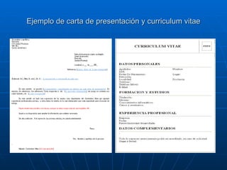 Ejemplo de carta de presentación y curriculum vitae 
