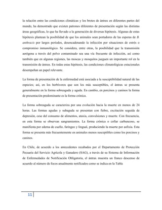 11
la relación entre las condiciones climáticas y los brotes de ántrax en diferentes partes del
mundo, ha demostrado que existen patrones diferentes de presentación según las distintas
áreas geográficas, lo que ha llevado a la generación de diversas hipótesis. Algunas de estas
hipótesis plantean la posibilidad de que los animales sean portadores de las esporas de B.
anthracis por largos períodos, desencadenando la infección por situaciones de estrés o
compromiso inmunológico. Se considera, entre otras, la posibilidad que la transmisión
aerógena a través del polvo contaminado sea una vía frecuente de infección, así como
también que en algunas regiones, las moscas y mosquitos jueguen un importante rol en la
transmisión de ántrax. En todas estas hipótesis, las condiciones climatológicas estacionales
desempeñan un papel relevante.
La forma de presentación de la enfermedad está asociada a la susceptibilidad natural de las
especies; así, en los herbívoros que son los más susceptibles, el ántrax se presenta
generalmente en la forma sobreaguda y aguda. En cambio, en porcinos y caninos la forma
de presentación predominante es la forma crónica.
La forma sobreaguda se caracteriza por una evolución hacia la muerte en menos de 24
horas. Las formas agudas y subaguda se presentan con fiebre, excitación seguida de
depresión, cese del consumo de alimentos, ataxia, convulsiones y muerte. Con frecuencia,
en esta forma se observan sangramientos. La forma crónica o collar carbuncoso, se
manifiesta por edema de cuello, faríngeo y lingual, produciendo la muerte por asfixia. Esta
forma se presenta más frecuentemente en animales menos susceptibles como los porcinos y
caninos.
En Chile, de acuerdo a los antecedentes recabados por el Departamento de Protección
Pecuaria del Servicio Agrícola y Ganadero (SAG), a través de su Sistema de Información
de Enfermedades de Notificación Obligatoria, el ántrax muestra un franco descenso de
acuerdo al número de focos anualmente notificados como se indica en la Tabla
 
