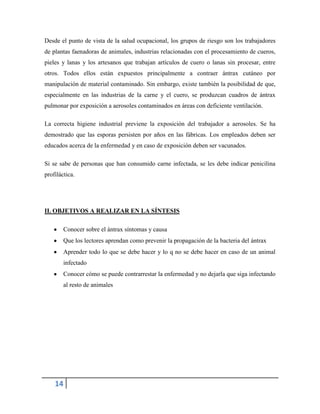 14
Desde el punto de vista de la salud ocupacional, los grupos de riesgo son los trabajadores
de plantas faenadoras de animales, industrias relacionadas con el procesamiento de cueros,
pieles y lanas y los artesanos que trabajan artículos de cuero o lanas sin procesar, entre
otros. Todos ellos están expuestos principalmente a contraer ántrax cutáneo por
manipulación de material contaminado. Sin embargo, existe también la posibilidad de que,
especialmente en las industrias de la carne y el cuero, se produzcan cuadros de ántrax
pulmonar por exposición a aerosoles contaminados en áreas con deficiente ventilación.
La correcta higiene industrial previene la exposición del trabajador a aerosoles. Se ha
demostrado que las esporas persisten por años en las fábricas. Los empleados deben ser
educados acerca de la enfermedad y en caso de exposición deben ser vacunados.
Si se sabe de personas que han consumido carne infectada, se les debe indicar penicilina
profiláctica.
II. OBJETIVOS A REALIZAR EN LA SÍNTESIS
Conocer sobre el ántrax síntomas y causa
Que los lectores aprendan como prevenir la propagación de la bacteria del ántrax
Aprender todo lo que se debe hacer y lo q no se debe hacer en caso de un animal
infectado
Conocer cómo se puede contrarrestar la enfermedad y no dejarla que siga infectando
al resto de animales
 