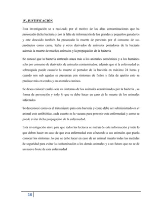 16
IV. JUSTIFICACIÓN
Esta investigación se a realizado por el motivo de las altas contaminaciones que ha
provocado dicha bacteria y por la falta de información de los grandes y pequeños ganaderos
y este descuido también ha provocado la muerte de personas por el consumo de sus
productos como carne, leche y otros derivados de animales portadores de la bacteria
además la muerte de muchos animales y la propagación de la bacteria
Se conoce que la bacteria anthracis ataca más a los animales domésticos y a los humanos
solo por consumo de derivados de animales contaminados; además que si la enfermedad es
sobreaguda puede causarle la muerte al portador de la bacteria en máximo 24 horas y
cuando son sub agudas se presentan con síntomas de fiebre y falta de apetito esto se
produce más en cerdos y en animales caninos.
Se desea conocer cuáles son los síntomas de los animales contaminados por la bacteria , su
forma de prevención y todo lo que se debe hacer en caso de la muerte de los animales
infectados
Se desconoce como es el tratamiento para esta bacteria y como debe ser subministrado en el
animal este antibiótico, cada cuanto es la vacuna para prevenir esta enfermedad y como se
puede evitar dicha propagación de la enfermedad.
Esta investigación sirve para que todos los lectores se nutran de esta información y todo lo
que deben hacer en caso de que esta enfermedad este afectando a sus animales que pueda
conocer los síntomas .lo que se debe hacer en caso de un animal muerto todas las medidas
de seguridad para evitar la contaminación a los demás animales y a un futuro que no se dé
un nuevo brote de esta enfermedad
 
