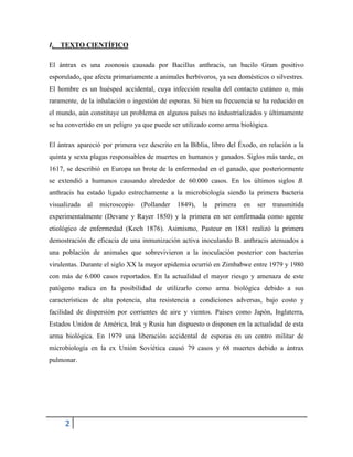 2
I. TEXTO CIENTÍFICO
El ántrax es una zoonosis causada por Bacillus anthracis, un bacilo Gram positivo
esporulado, que afecta primariamente a animales herbívoros, ya sea domésticos o silvestres.
El hombre es un huésped accidental, cuya infección resulta del contacto cutáneo o, más
raramente, de la inhalación o ingestión de esporas. Si bien su frecuencia se ha reducido en
el mundo, aún constituye un problema en algunos países no industrializados y últimamente
se ha convertido en un peligro ya que puede ser utilizado como arma biológica.
El ántrax apareció por primera vez descrito en la Biblia, libro del Éxodo, en relación a la
quinta y sexta plagas responsables de muertes en humanos y ganados. Siglos más tarde, en
1617, se describió en Europa un brote de la enfermedad en el ganado, que posteriormente
se extendió a humanos causando alrededor de 60.000 casos. En los últimos siglos B.
anthracis ha estado ligado estrechamente a la microbiología siendo la primera bacteria
visualizada al microscopio (Pollander 1849), la primera en ser transmitida
experimentalmente (Devane y Rayer 1850) y la primera en ser confirmada como agente
etiológico de enfermedad (Koch 1876). Asimismo, Pasteur en 1881 realizó la primera
demostración de eficacia de una inmunización activa inoculando B. anthracis atenuados a
una población de animales que sobrevivieron a la inoculación posterior con bacterias
virulentas. Durante el siglo XX la mayor epidemia ocurrió en Zimbabwe entre 1979 y 1980
con más de 6.000 casos reportados. En la actualidad el mayor riesgo y amenaza de este
patógeno radica en la posibilidad de utilizarlo como arma biológica debido a sus
características de alta potencia, alta resistencia a condiciones adversas, bajo costo y
facilidad de dispersión por corrientes de aire y vientos. Países como Japón, Inglaterra,
Estados Unidos de América, Irak y Rusia han dispuesto o disponen en la actualidad de esta
arma biológica. En 1979 una liberación accidental de esporas en un centro militar de
microbiología en la ex Unión Soviética causó 79 casos y 68 muertes debido a ántrax
pulmonar.
 