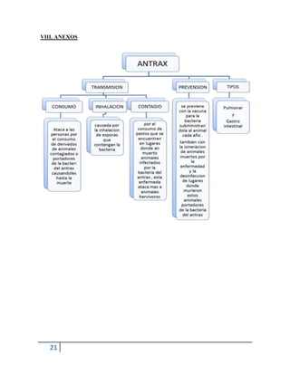 21
VIII. ANEXOS
 