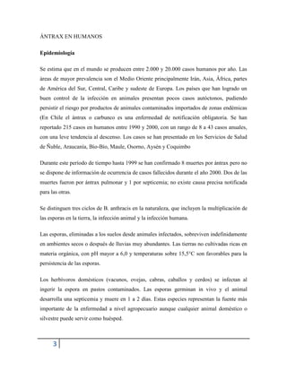 3
ÁNTRAX EN HUMANOS
Epidemiología
Se estima que en el mundo se producen entre 2.000 y 20.000 casos humanos por año. Las
áreas de mayor prevalencia son el Medio Oriente principalmente Irán, Asia, África, partes
de América del Sur, Central, Caribe y sudeste de Europa. Los países que han logrado un
buen control de la infección en animales presentan pocos casos autóctonos, pudiendo
persistir el riesgo por productos de animales contaminados importados de zonas endémicas
(En Chile el ántrax o carbunco es una enfermedad de notificación obligatoria. Se han
reportado 215 casos en humanos entre 1990 y 2000, con un rango de 8 a 43 casos anuales,
con una leve tendencia al descenso. Los casos se han presentado en los Servicios de Salud
de Ñuble, Araucanía, Bío-Bío, Maule, Osorno, Aysén y Coquimbo
Durante este período de tiempo hasta 1999 se han confirmado 8 muertes por ántrax pero no
se dispone de información de ocurrencia de casos fallecidos durante el año 2000. Dos de las
muertes fueron por ántrax pulmonar y 1 por septicemia; no existe causa precisa notificada
para las otras.
Se distinguen tres ciclos de B. anthracis en la naturaleza, que incluyen la multiplicación de
las esporas en la tierra, la infección animal y la infección humana.
Las esporas, eliminadas a los suelos desde animales infectados, sobreviven indefinidamente
en ambientes secos o después de lluvias muy abundantes. Las tierras no cultivadas ricas en
materia orgánica, con pH mayor a 6,0 y temperaturas sobre 15,5°C son favorables para la
persistencia de las esporas.
Los herbívoros domésticos (vacunos, ovejas, cabras, caballos y cerdos) se infectan al
ingerir la espora en pastos contaminados. Las esporas germinan in vivo y el animal
desarrolla una septicemia y muere en 1 a 2 días. Estas especies representan la fuente más
importante de la enfermedad a nivel agropecuario aunque cualquier animal doméstico o
silvestre puede servir como huésped.
 