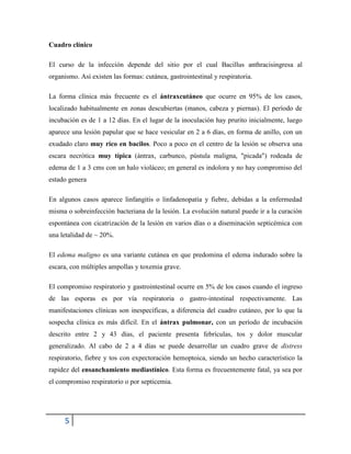 5
Cuadro clínico
El curso de la infección depende del sitio por el cual Bacillus anthracisingresa al
organismo. Así existen las formas: cutánea, gastrointestinal y respiratoria.
La forma clínica más frecuente es el ántraxcutáneo que ocurre en 95% de los casos,
localizado habitualmente en zonas descubiertas (manos, cabeza y piernas). El período de
incubación es de 1 a 12 días. En el lugar de la inoculación hay prurito inicialmente, luego
aparece una lesión papular que se hace vesicular en 2 a 6 días, en forma de anillo, con un
exudado claro muy rico en bacilos. Poco a poco en el centro de la lesión se observa una
escara necrótica muy típica (ántrax, carbunco, pústula maligna, "picada") rodeada de
edema de 1 a 3 cms con un halo violáceo; en general es indolora y no hay compromiso del
estado genera
En algunos casos aparece linfangitis o linfadenopatía y fiebre, debidas a la enfermedad
misma o sobreinfección bacteriana de la lesión. La evolución natural puede ir a la curación
espontánea con cicatrización de la lesión en varios días o a diseminación septicémica con
una letalidad de ~ 20%.
El edema maligno es una variante cutánea en que predomina el edema indurado sobre la
escara, con múltiples ampollas y toxemia grave.
El compromiso respiratorio y gastrointestinal ocurre en 5% de los casos cuando el ingreso
de las esporas es por vía respiratoria o gastro-intestinal respectivamente. Las
manifestaciones clínicas son inespecíficas, a diferencia del cuadro cutáneo, por lo que la
sospecha clínica es más difícil. En el ántrax pulmonar, con un período de incubación
descrito entre 2 y 43 días, el paciente presenta febrículas, tos y dolor muscular
generalizado. Al cabo de 2 a 4 días se puede desarrollar un cuadro grave de distress
respiratorio, fiebre y tos con expectoración hemoptoica, siendo un hecho característico la
rapidez del ensanchamiento mediastínico. Esta forma es frecuentemente fatal, ya sea por
el compromiso respiratorio o por septicemia.
 
