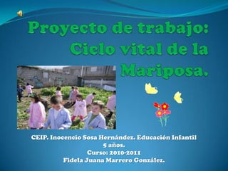 Proyecto de trabajo:Ciclo vital de la Mariposa. CEIP. Inocencio Sosa Hernández. Educación Infantil 5 años. Curso: 2010-2011  Fidela Juana Marrero González. 