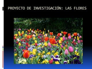 PROYECTO DE INVESTIGACIÓN: LAS FLORES
 