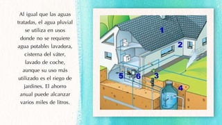 Al igual que las aguas
tratadas, el agua pluvial
se utiliza en usos
donde no se requiere
agua potable: lavadora,
cisterna del váter,
lavado de coche,
aunque su uso más
utilizado es el riego de
jardines. El ahorro
anual puede alcanzar
varios miles de litros.
 