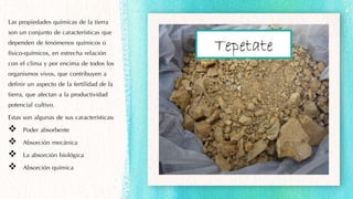 Las propiedades químicas de la tierra
son un conjunto de características que
dependen de fenómenos químicos o
físico-químicos, en estrecha relación
con el clima y por encima de todos los
organismos vivos, que contribuyen a
definir un aspecto de la fertilidad de la
tierra, que afectan a la productividad
potencial cultivo.
Estas son algunas de sus características:
 Poder absorbente
 Absorción mecánica
 La absorción biológica
 Absorción química
Tepetate
 