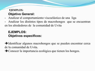 EJEMPLOS:
Objetivo General:
- Analizar el comportamiento viscoelástico de una liga
- Analizar los distintos tipos de macrohongos que se encuentran
en los alrededores de la comunidad de Uvita
EJEMPLOS:
Objetivos específicos:
Identificar algunos macrohongos que se pueden encontrar cerca
de la comunidad de Uvita.
Conocer la importancia ecológica que tienen los hongos.
 