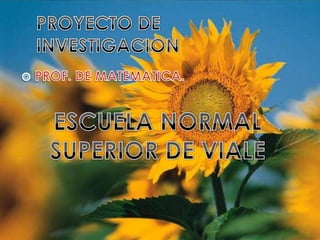 PROYECTO DE INVESTIGACION PROF. DE MATEMATICA. ESCUELA NORMAL SUPERIOR DE VIALE 