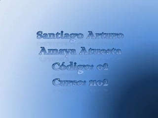 Santiago Arturo Amaya Atuesta Código: 02 Curso: 1102 