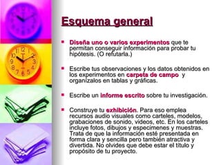 Esquema general Diseña uno o varios experimentos  que te permitan conseguir información para probar tu hipótesis. (O refutarla.)  Escribe tus observaciones y los datos obtenidos en los experimentos en   carpeta de  campo   y organízalos en tablas y gráficas.  Escribe un  informe escrito  sobre tu investigación.  Construye tu   exhibición . Para eso emplea recursos audio visuales como carteles, modelos, grabaciones de sonido, videos, etc. En los carteles incluye fotos, dibujos y especimenes y muestras. Trata de que la información esté presentada en forma clara y sencilla pero también atractiva y divertida. No olvides que debe estar el título y propósito de tu proyecto.   
