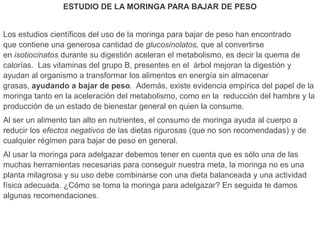 ESTUDIO DE LA MORINGA PARA BAJAR DE PESO
Los estudios científicos del uso de la moringa para bajar de peso han encontrado
que contiene una generosa cantidad de glucosinolatos, que al convertirse
en isotiocinatos durante su digestión aceleran el metabolismo, es decir la quema de
calorías. Las vitaminas del grupo B, presentes en el árbol mejoran la digestión y
ayudan al organismo a transformar los alimentos en energía sin almacenar
grasas, ayudando a bajar de peso. Además, existe evidencia empírica del papel de la
moringa tanto en la aceleración del metabolismo, como en la reducción del hambre y la
producción de un estado de bienestar general en quien la consume.
Al ser un alimento tan alto en nutrientes, el consumo de moringa ayuda al cuerpo a
reducir los efectos negativos de las dietas rigurosas (que no son recomendadas) y de
cualquier régimen para bajar de peso en general.
Al usar la moringa para adelgazar debemos tener en cuenta que es sólo una de las
muchas herramientas necesarias para conseguir nuestra meta, la moringa no es una
planta milagrosa y su uso debe combinarse con una dieta balanceada y una actividad
física adecuada. ¿Cómo se toma la moringa para adelgazar? En seguida te damos
algunas recomendaciones.
 