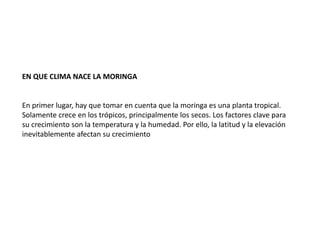 EN QUE CLIMA NACE LA MORINGA
En primer lugar, hay que tomar en cuenta que la moringa es una planta tropical.
Solamente crece en los trópicos, principalmente los secos. Los factores clave para
su crecimiento son la temperatura y la humedad. Por ello, la latitud y la elevación
inevitablemente afectan su crecimiento
 