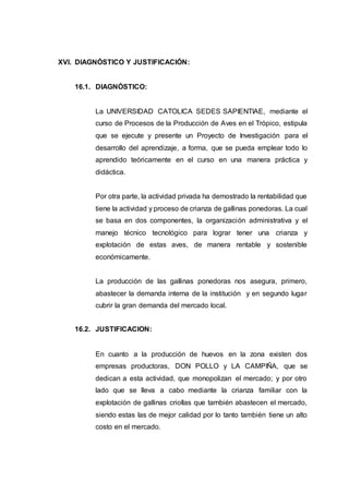 XVI. DIAGNÓSTICO Y JUSTIFICACIÓN:
16.1. DIAGNÓSTICO:
La UNIVERSIDAD CATOLICA SEDES SAPIENTIAE, mediante el
curso de Procesos de la Producción de Aves en el Trópico, estipula
que se ejecute y presente un Proyecto de Investigación para el
desarrollo del aprendizaje, a forma, que se pueda emplear todo lo
aprendido teóricamente en el curso en una manera práctica y
didáctica.
Por otra parte, la actividad privada ha demostrado la rentabilidad que
tiene la actividad y proceso de crianza de gallinas ponedoras. La cual
se basa en dos componentes, la organización administrativa y el
manejo técnico tecnológico para lograr tener una crianza y
explotación de estas aves, de manera rentable y sostenible
económicamente.
La producción de las gallinas ponedoras nos asegura, primero,
abastecer la demanda interna de la institución y en segundo lugar
cubrir la gran demanda del mercado local.
16.2. JUSTIFICACION:
En cuanto a la producción de huevos en la zona existen dos
empresas productoras, DON POLLO y LA CAMPIÑA, que se
dedican a esta actividad, que monopolizan el mercado; y por otro
lado que se lleva a cabo mediante la crianza familiar con la
explotación de gallinas criollas que también abastecen el mercado,
siendo estas las de mejor calidad por lo tanto también tiene un alto
costo en el mercado.
 