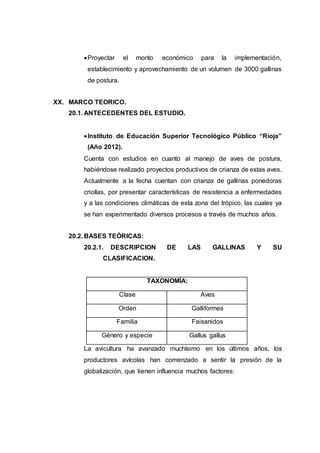 Proyectar el monto económico para la implementación,
establecimiento y aprovechamiento de un volumen de 3000 gallinas
de postura.
XX. MARCO TEORICO.
20.1. ANTECEDENTES DEL ESTUDIO.
Instituto de Educación Superior Tecnológico Público “Rioja”
(Año 2012).
Cuenta con estudios en cuanto al manejo de aves de postura,
habiéndose realizado proyectos productivos de crianza de estas aves.
Actualmente a la fecha cuentan con crianza de gallinas ponedoras
criollas, por presentar características de resistencia a enfermedades
y a las condiciones climáticas de esta zona del trópico, las cuales ya
se han experimentado diversos procesos a través de muchos años.
20.2. BASES TEÓRICAS:
20.2.1. DESCRIPCION DE LAS GALLINAS Y SU
CLASIFICACION.
TAXONOMÍA:
Clase Aves
Orden Galliformes
Familia Faisanidos
Género y especie Gallus gallus
La avicultura ha avanzado muchísimo en los últimos años, los
productores avícolas han comenzado a sentir la presión de la
globalización, que tienen influencia muchos factores:
 