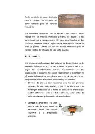 fuente constante de agua, destinado
para el consumo de las aves, así
como también para el personal
respectivo.
Los ambientes destinados para la ejecución del proyecto, están
hechos con los mejores materiales posibles, de acuerdo a las
especificaciones y requerimientos técnicos especificados en los
diferentes manuales, cursos y aprendizajes vistos para la crianza de
aves de postura. Cuenta con vías de acceso, necesarias para el
ingreso y salida de vehículos de bajo y alto tonelaje.
20.3.2. EQUIPOS.
Los equipos considerados en la instalación de los ambientes, en la
ejecución del proyecto, son los instrumentos necesarios indicados,
según las especificaciones técnicas recomendadas por los
especialistas y asesores, los cuales recomiendan y garantizan la
eficiencia de los equipos a emplearse, como los círculos de crianza,
campanas criadoras, bebederos, comederos y las baterías.
 Círculos de crianza. Son necesarios para las dos primeras
semanas de vida, esto ayudará a que no se dispersen y se
mantengan más cerca de la fuente de calor, de tal manera que
puedan obtener con más facilidad el alimento, siendo estos de
materiales livianos y de acuerdo a la edad del ave.
 Campanas criadoras. Se usan
para la cría de aves, desde su
nacimiento, hasta que puedan
sobrevivir a la temperatura
ambiente.
 