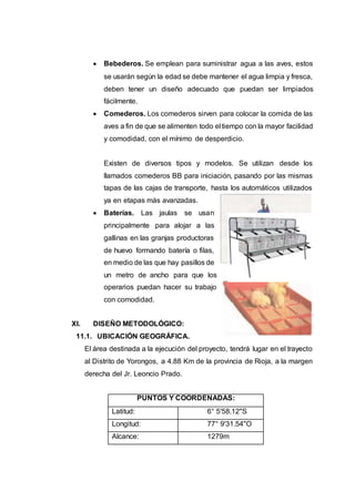  Bebederos. Se emplean para suministrar agua a las aves, estos
se usarán según la edad se debe mantener el agua limpia y fresca,
deben tener un diseño adecuado que puedan ser limpiados
fácilmente.
 Comederos. Los comederos sirven para colocar la comida de las
aves a fin de que se alimenten todo el tiempo con la mayor facilidad
y comodidad, con el mínimo de desperdicio.
Existen de diversos tipos y modelos. Se utilizan desde los
llamados comederos BB para iniciación, pasando por las mismas
tapas de las cajas de transporte, hasta los automáticos utilizados
ya en etapas más avanzadas.
 Baterías. Las jaulas se usan
principalmente para alojar a las
gallinas en las granjas productoras
de huevo formando batería o filas,
en medio de las que hay pasillos de
un metro de ancho para que los
operarios puedan hacer su trabajo
con comodidad.
XI. DISEÑO METODOLÓGICO:
11.1. UBICACIÓN GEOGRÁFICA.
El área destinada a la ejecución del proyecto, tendrá lugar en el trayecto
al Distrito de Yorongos, a 4.88 Km de la provincia de Rioja, a la margen
derecha del Jr. Leoncio Prado.
PUNTOS Y COORDENADAS:
Latitud: 6° 5'58.12"S
Longitud: 77° 9'31.54"O
Alcance: 1279m
 