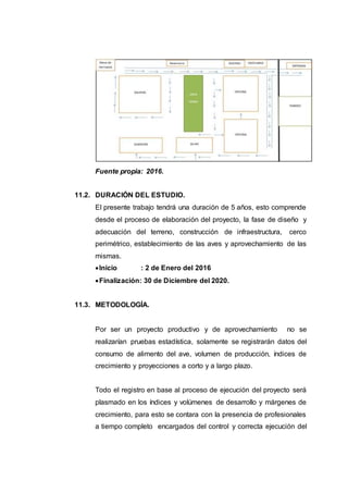 Fuente propia: 2016.
11.2. DURACIÓN DEL ESTUDIO.
El presente trabajo tendrá una duración de 5 años, esto comprende
desde el proceso de elaboración del proyecto, la fase de diseño y
adecuación del terreno, construcción de infraestructura, cerco
perimétrico, establecimiento de las aves y aprovechamiento de las
mismas.
Inicio : 2 de Enero del 2016
Finalización: 30 de Diciembre del 2020.
11.3. METODOLOGÍA.
Por ser un proyecto productivo y de aprovechamiento no se
realizarían pruebas estadística, solamente se registrarán datos del
consumo de alimento del ave, volumen de producción, índices de
crecimiento y proyecciones a corto y a largo plazo.
Todo el registro en base al proceso de ejecución del proyecto será
plasmado en los índices y volúmenes de desarrollo y márgenes de
crecimiento, para esto se contara con la presencia de profesionales
a tiempo completo encargados del control y correcta ejecución del
 