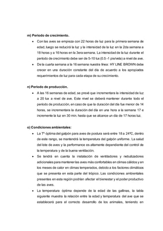 m) Periodo de crecimiento.
 Con las aves se empieza con 22 horas de luz para la primera semana de
edad, luego se reducirá la luz y la intensidad de la luz en la 2da semana a
18 horas y a 16 horas en la 3era semana. La intensidad de la luz durante el
período de crecimiento debe ser de 5-10 lux (0.5 -1 pie/vela) a nivel de ave.
 De la cuarta semana a la 16 semana nuestra línea: HY LINE BROWN debe
crecer en una duración constante del día de acuerdo a los apropiados
requerimientos de luz para cada etapa de su crecimiento.
n) Periodo de producción.
 A las 16 semanas de edad, se prevé que incrementara la intensidad de luz
a 20 lux a nivel de ave. Este nivel se deberá mantener durante todo el
período de producción, en caso de que la duración del día fue menor de 14
horas, se incrementara la duración del día en una hora a la semana 17 e
incremente la luz en 30 min. hasta que se alcance un día de 17 horas luz.
o) Condiciones ambientales:
 La Tº óptima del galpón para aves de postura será entre 18 a 24ºC, dentro
de este rango, se mantendrá la temperatura del galpón uniforme. La salud
del lote de aves y la performance es altamente dependiente del control de
la temperatura y de la buena ventilación.
 Se tendrá en cuenta la instalación de ventiladores y nebulizadores
adicionales para mantener las aves más confortables en climas cálidos y en
los meses de calor en climas temperados, debido a los factores climáticos
que se presenta en esta parte del trópico. Las condiciones ambientales
presentes en esta región podrían afectar el bienestar y el poder productivo
de las aves.
 La temperatura óptima depende de la edad de las gallinas, la tabla
siguiente muestra la relación entre la edad y temperatura del ave que se
establecerá para el correcto desarrollo de los animales, teniendo en
 