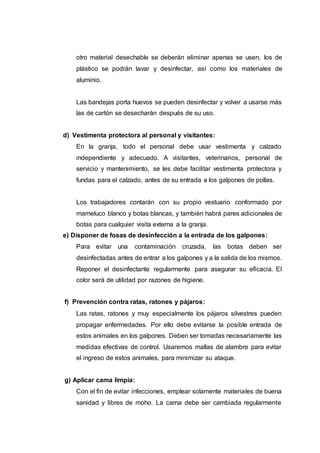 otro material desechable se deberán eliminar apenas se usen, los de
plástico se podrán lavar y desinfectar, así como los materiales de
aluminio.
Las bandejas porta huevos se pueden desinfectar y volver a usarse más
las de cartón se desecharán después de su uso.
d) Vestimenta protectora al personal y visitantes:
En la granja, todo el personal debe usar vestimenta y calzado
independiente y adecuado. A visitantes, veterinarios, personal de
servicio y mantenimiento, se les debe facilitar vestimenta protectora y
fundas para el calzado, antes de su entrada a los galpones de pollas.
Los trabajadores contarán con su propio vestuario conformado por
mameluco blanco y botas blancas, y también habrá pares adicionales de
botas para cualquier visita externa a la granja.
e) Disponer de fosas de desinfección a la entrada de los galpones:
Para evitar una contaminación cruzada, las botas deben ser
desinfectadas antes de entrar a los galpones y a la salida de los mismos.
Reponer el desinfectante regularmente para asegurar su eficacia. El
color será de utilidad por razones de higiene.
f) Prevención contra ratas, ratones y pájaros:
Las ratas, ratones y muy especialmente los pájaros silvestres pueden
propagar enfermedades. Por ello debe evitarse la posible entrada de
estos animales en los galpones. Deben ser tomadas necesariamente las
medidas efectivas de control. Usaremos mallas de alambre para evitar
el ingreso de estos animales, para minimizar su ataque.
g) Aplicar cama limpia:
Con el fin de evitar infecciones, emplear solamente materiales de buena
sanidad y libres de moho. La cama debe ser cambiada regularmente
 