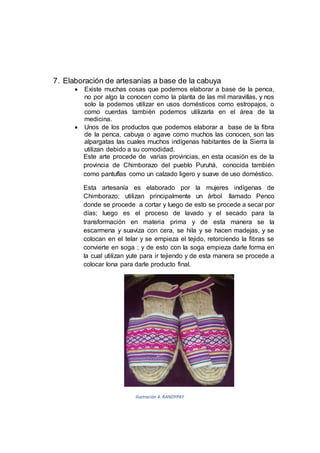 7. Elaboración de artesanías a base de la cabuya
 Existe muchas cosas que podemos elaborar a base de la penca,
no por algo la conocen como la planta de las mil maravillas, y nos
solo la podemos utilizar en usos domésticos como estropajos, o
como cuerdas también podemos utilizarla en el área de la
medicina.
 Unos de los productos que podemos elaborar a base de la fibra
de la penca, cabuya o agave como muchos las conocen, son las
alpargatas las cuales muchos indígenas habitantes de la Sierra la
utilizan debido a su comodidad.
Este arte procede de varias provincias, en esta ocasión es de la
provincia de Chimborazo del pueblo Puruhá, conocida también
como pantuflas como un calzado ligero y suave de uso doméstico.
Esta artesanía es elaborado por la mujeres indígenas de
Chimborazo; utilizan principalmente un árbol llamado Penco
donde se procede a cortar y luego de esto se procede a secar por
días; luego es el proceso de lavado y el secado para la
transformación en materia prima y de esta manera se la
escarmena y suaviza con cera, se hila y se hacen madejas, y se
colocan en el telar y se empieza el tejido, retorciendo la fibras se
convierte en soga ; y de esto con la soga empieza darle forma en
la cual utilizan yute para ir tejiendo y de esta manera se procede a
colocar lona para darle producto final.
Ilustración 4. RANDYPAY
 