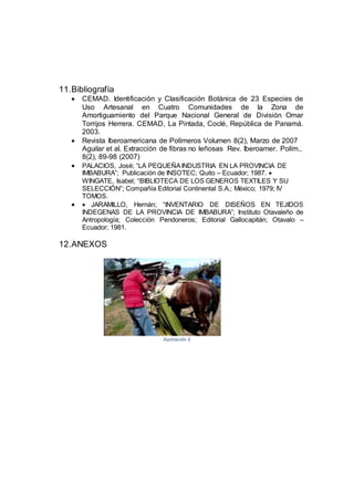 11.Bibliografía
 CEMAD. Identificación y Clasificación Botánica de 23 Especies de
Uso Artesanal en Cuatro Comunidades de la Zona de
Amortiguamiento del Parque Nacional General de División Omar
Torrijos Herrera. CEMAD, La Pintada, Coclé, República de Panamá.
2003.
 Revista Iberoamericana de Polímeros Volumen 8(2), Marzo de 2007
Aguilar et al. Extracción de fibras no leñosas Rev. Iberoamer. Polím.,
8(2), 89-98 (2007)
 PALACIOS, José; “LA PEQUEÑAINDUSTRIA EN LA PROVINCIA DE
IMBABURA”; Publicación de INSOTEC; Quito – Ecuador; 1987. 
WINGATE, Isabel; “BIBLIOTECA DE LOS GENEROS TEXTILES Y SU
SELECCIÓN”; Compañía Editorial Continental S.A.; México; 1979; IV
TOMOS.
  JARAMILLO, Hernán; “INVENTARIO DE DISEÑOS EN TEJIDOS
INDEGENAS DE LA PROVINCIA DE IMBABURA”; Instituto Otavaleño de
Antropología; Colección Pendoneros; Editorial Gallocapitán; Otavalo –
Ecuador; 1981.
12.ANEXOS
Ilustración 3
 
