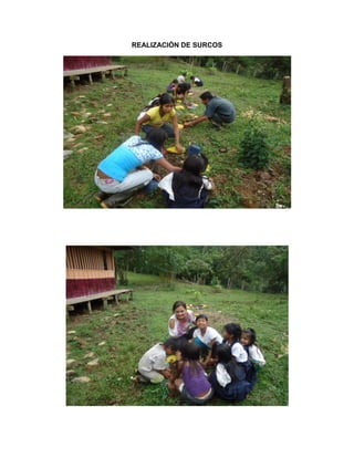 REALIZACIÒN DE SURCOS
 