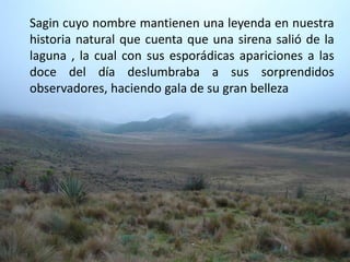 Sagin cuyo nombre mantienen una leyenda en nuestra historia natural que cuenta que una sirena salió de la laguna , la cual con sus esporádicas apariciones a las doce del día deslumbraba a sus sorprendidos observadores, haciendo gala de su gran belleza