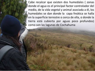 Cabe recalcar que existen dos humedales ( zonas donde el agua es el principal factor controlador del medio, de la vida vegetal y animal asociada a él, los humedales se dan donde la  capa freática se halla en la superficie terrestre o cerca de ella, o donde la tierra está cubierta por aguas poco profundos) como son las lagunas de Cochahuma
