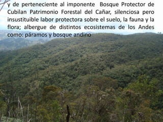 y de perteneciente al imponente  Bosque Protector de Cubilan Patrimonio Forestal del Cañar, silenciosa pero insustituible labor protectora sobre el suelo, la fauna y la flora; albergue de distintos ecosistemas de los Andes como: páramos y bosque andino 