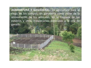 AGRICULTURA Y GANADERÍA.- En agricultura para el riego de los campos, en ganadería como parte de la alimentación de los animales, en la limpieza de los establos y otras instalaciones dedicadas a la cría de ganado.
