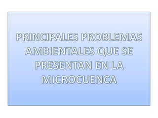 PRINCIPALES PROBLEMAS AMBIENTALES QUE SE PRESENTAN EN LA MICROCUENCA