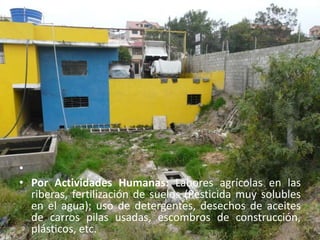  Por Actividades Humanas: Labores agrícolas en las riberas, fertilización de suelos (Pesticida muy solubles en el agua); uso de detergentes, desechos de aceites de carros pilas usadas, escombros de construcción, plásticos, etc.