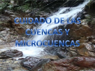 CUIDADO DE LAS CUENCAS Y MICROCUENCAS