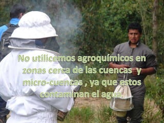 No utilicemos agroquímicos en zonas cerca de las cuencas  y micro-cuencas , ya que estos contaminan el agua. 
