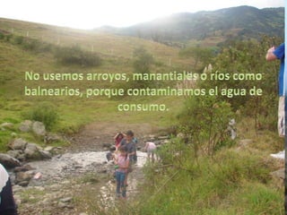 No usemos arroyos, manantiales o ríos como balnearios, porque contaminamos el agua de consumo. 