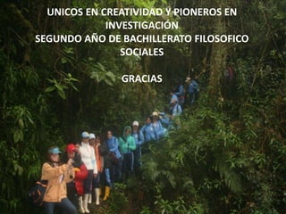 UNICOS EN CREATIVIDAD Y PIONEROS EN INVESTIGACIÓNSEGUNDO AÑO DE BACHILLERATO FILOSOFICO SOCIALESGRACIAS
